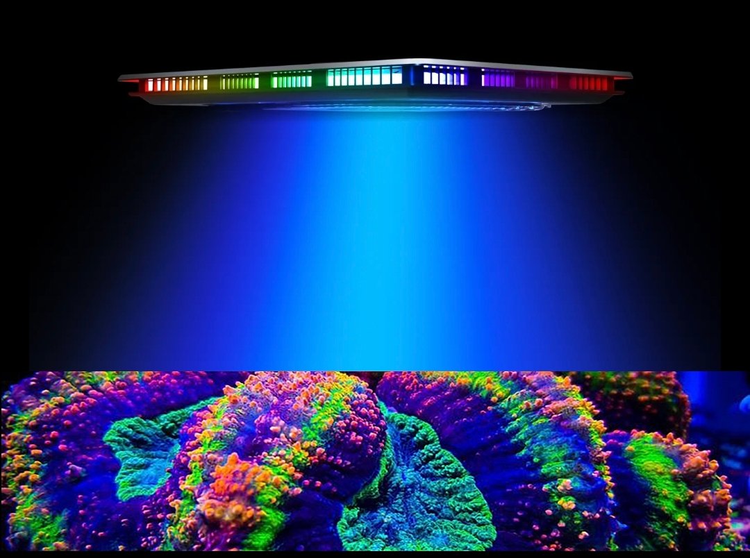 Screenshot_2025-09-28-00-34-57-453_com.android.chrome-edit