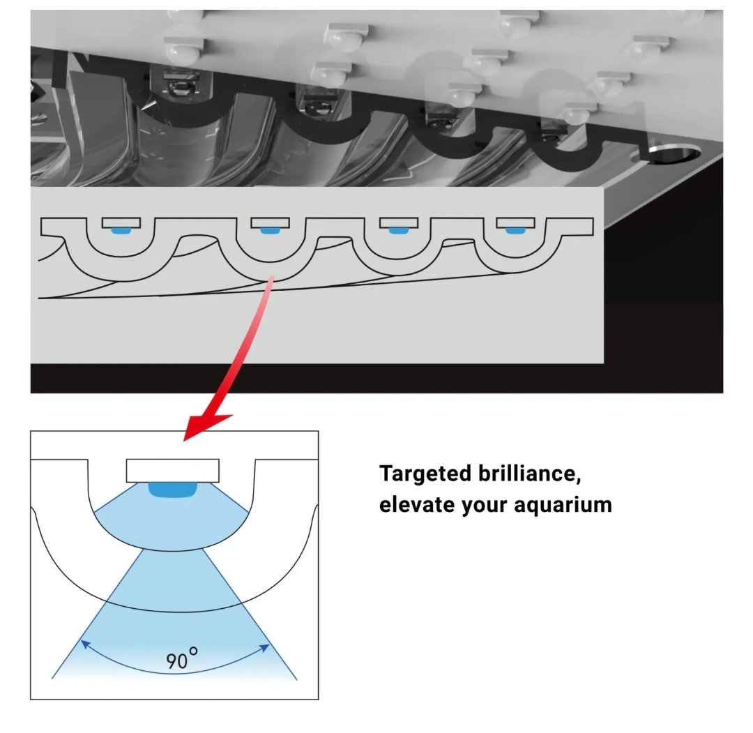 Screenshot_2025-09-28-00-35-55-464_com.android.chrome-edit