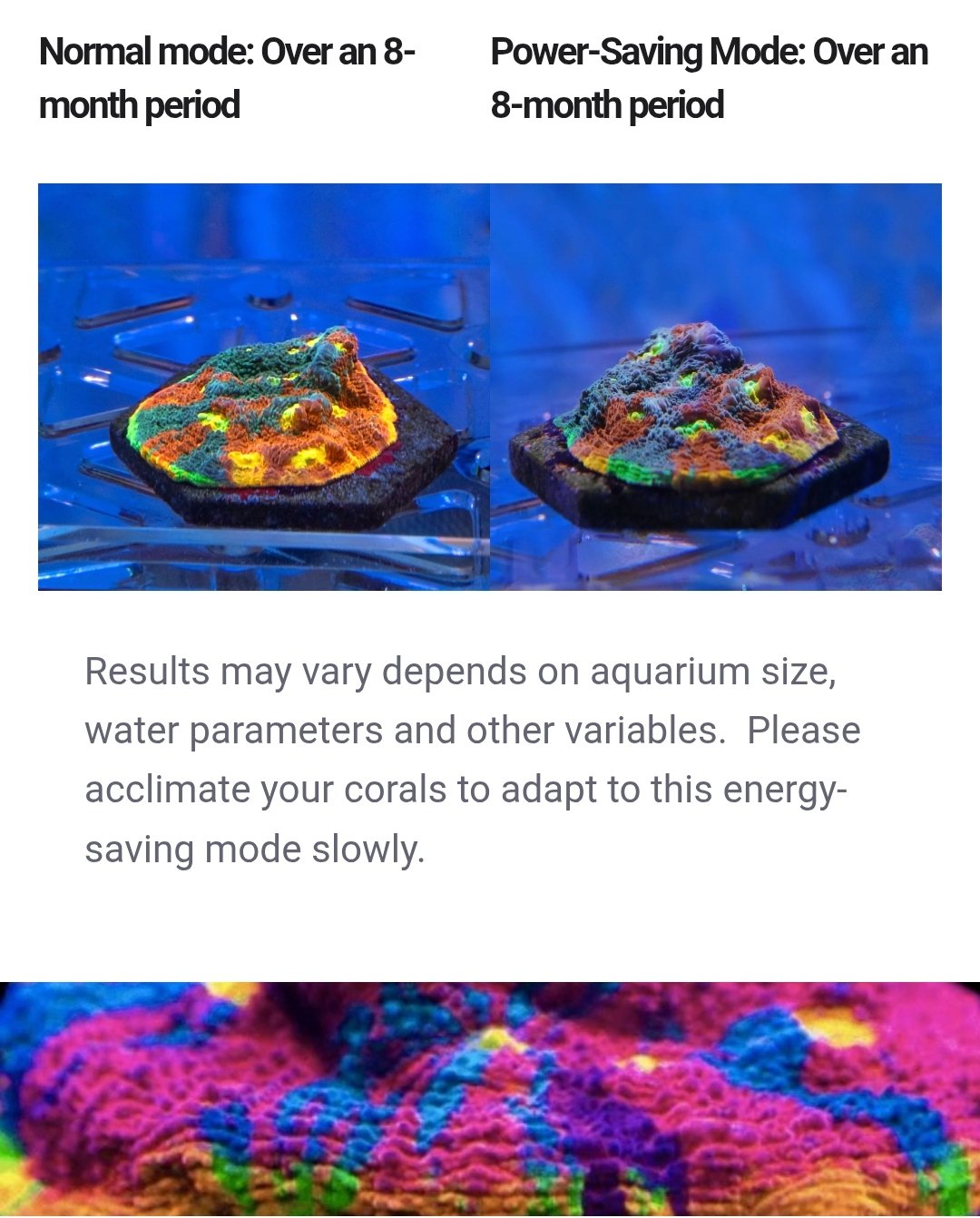 Screenshot_2025-09-28-00-36-41-823_com.android.chrome-edit