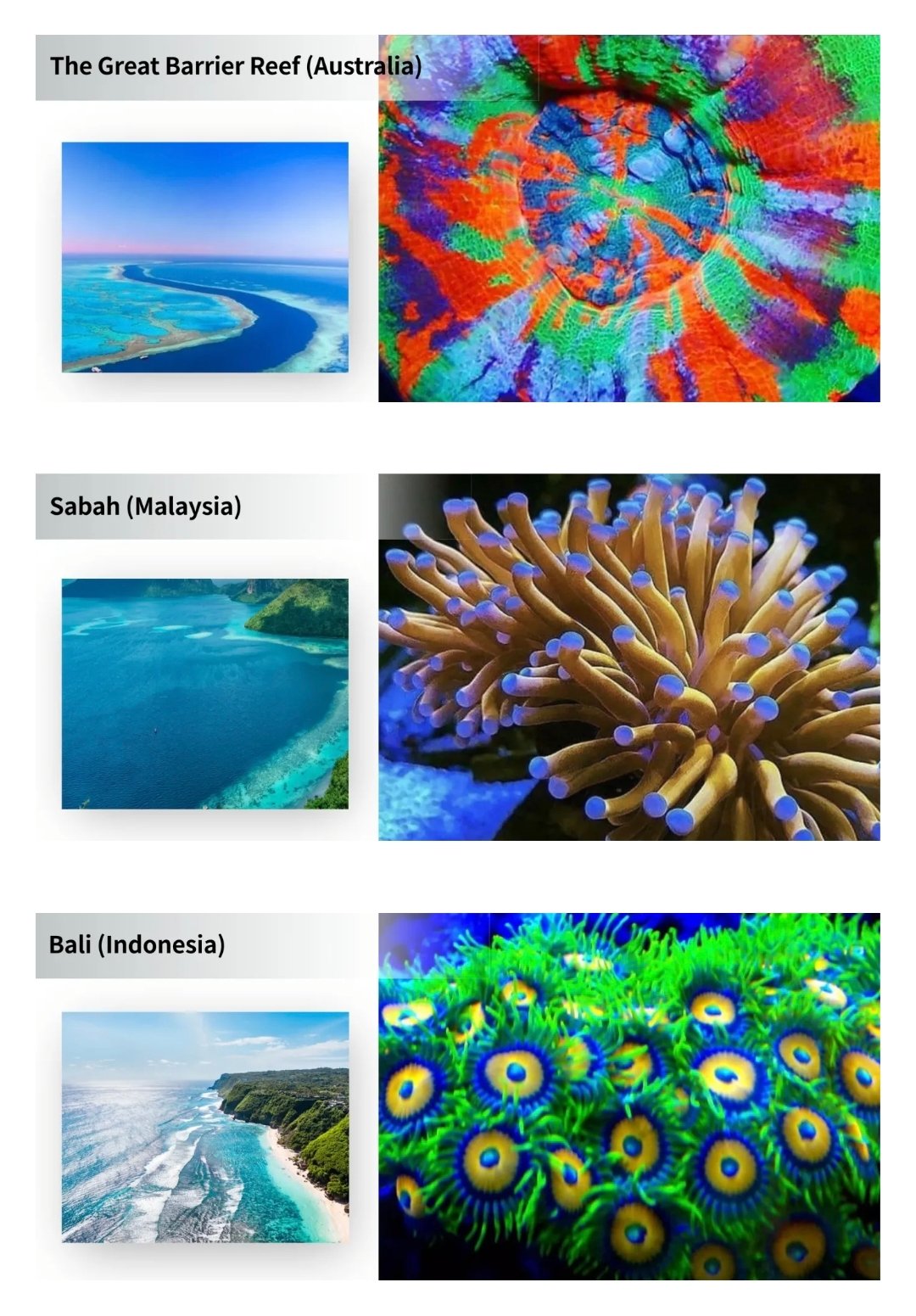 Screenshot_2025-09-28-00-37-35-326_com.android.chrome-edit