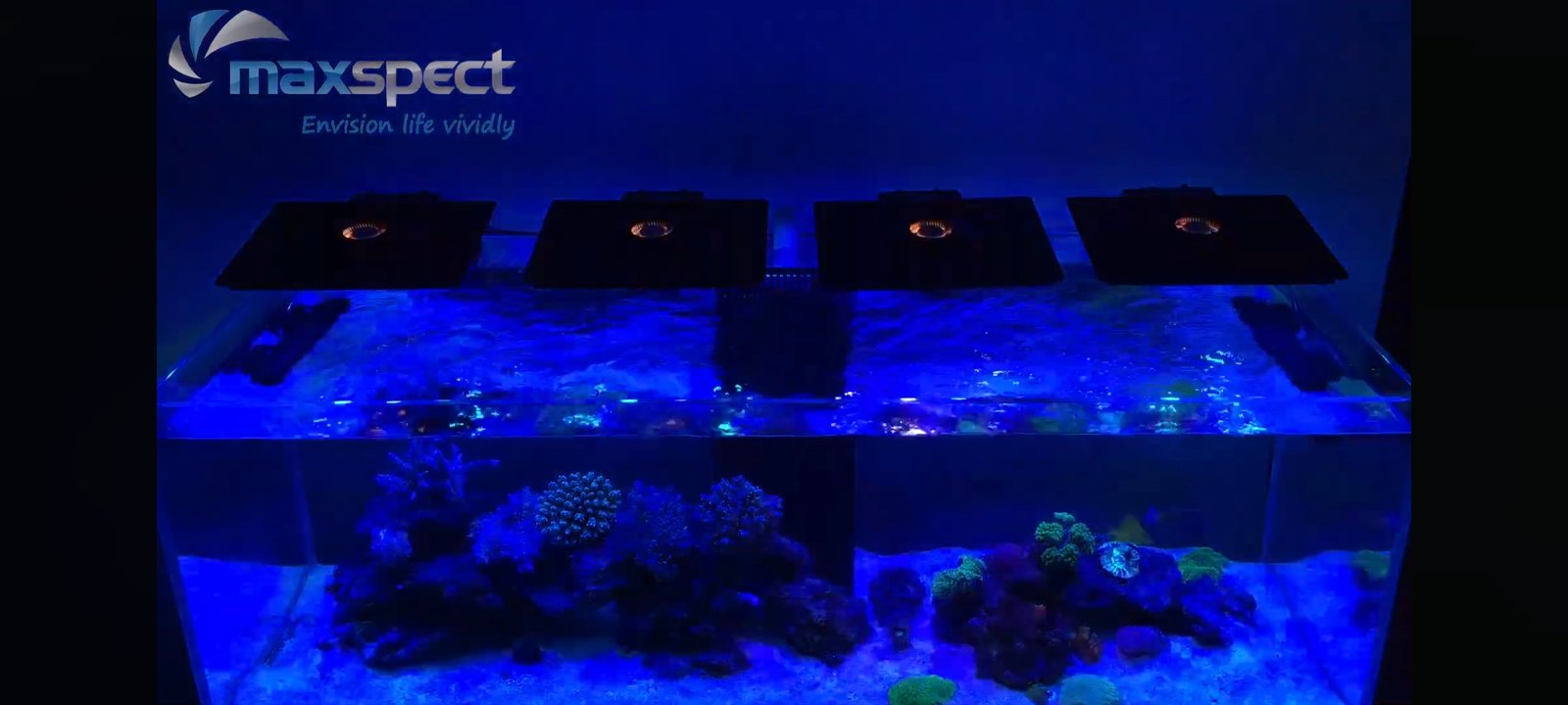 Screenshot_2025-09-28-00-58-07-446_com.google.android.youtube