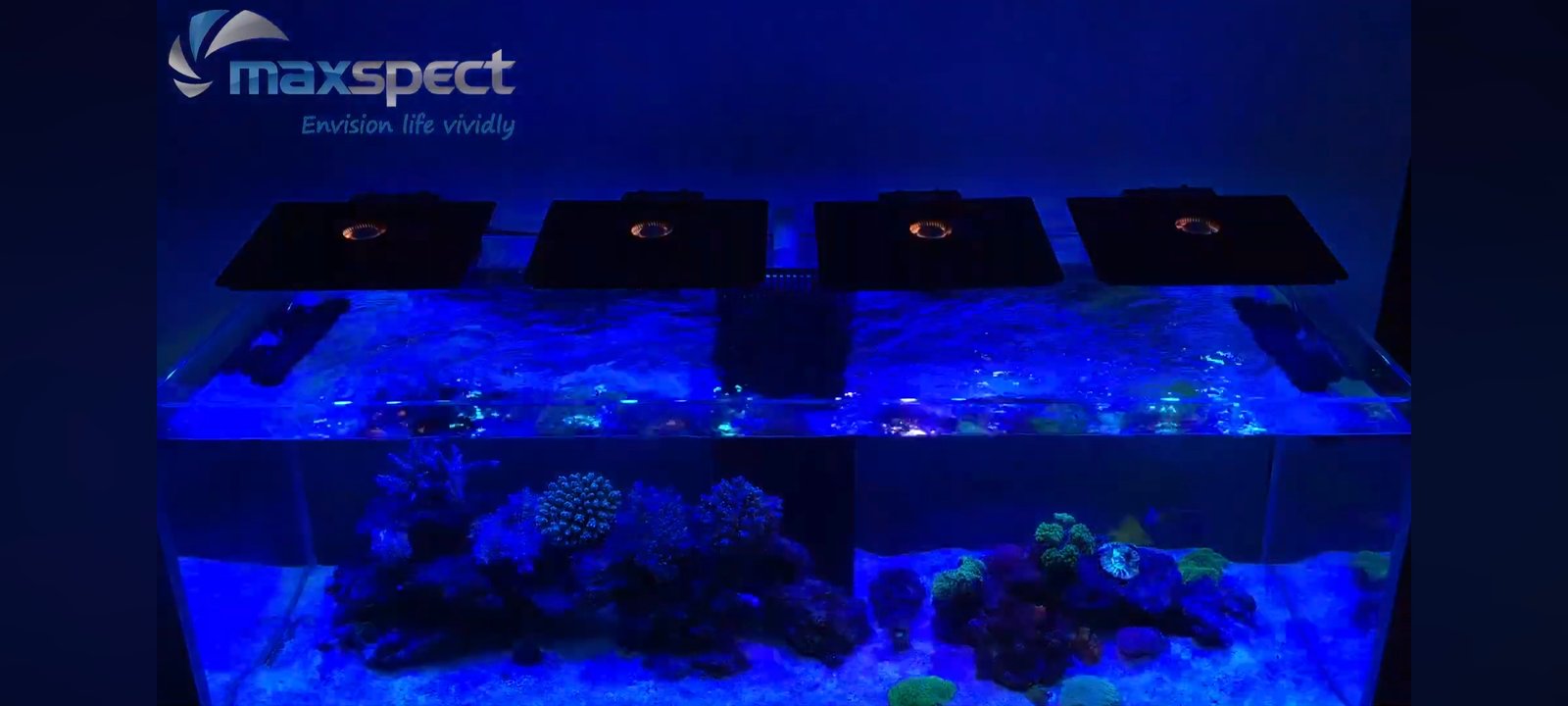 Screenshot_2025-09-28-00-58-19-843_com.google.android.youtube