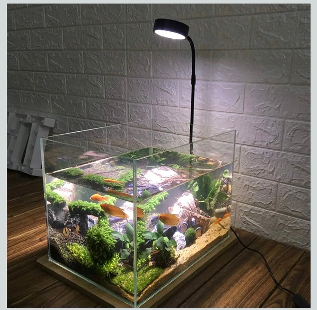 Screenshot_2025-09-28-20-14-13-808_in.amazon.mShop.android.shopping-edit