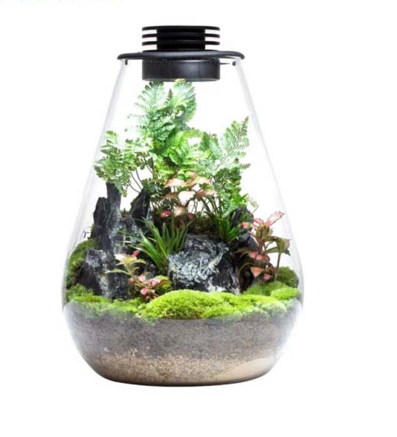 Screenshot_2025-10-01-00-08-24-817_com.android.chrome-edit