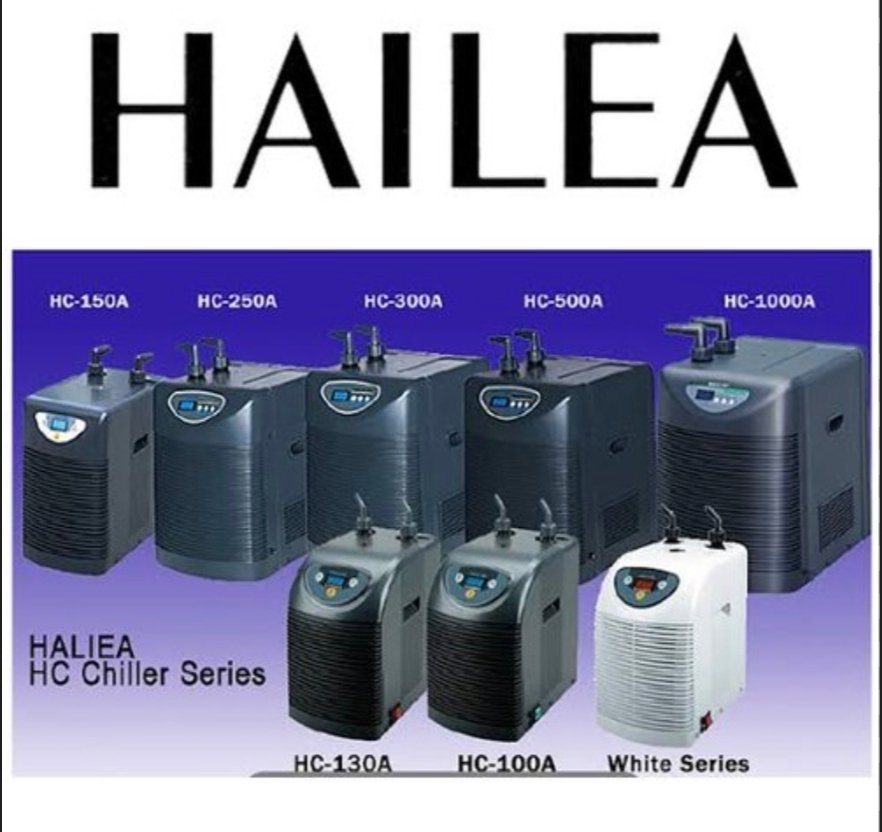 Screenshot_2025-10-11-02-38-26-824_com.google.android.googlequicksearchbox-edit