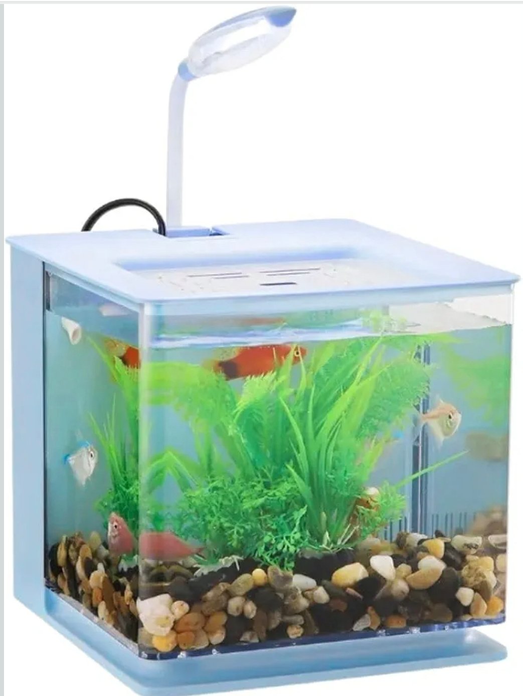 Screenshot_2025-10-12-00-13-18-163_in.amazon.mShop.android.shopping-edit