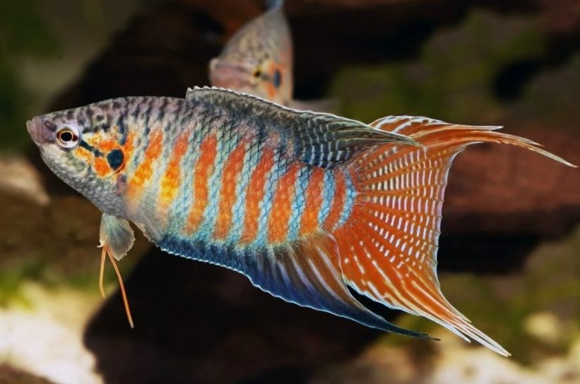 Screenshot_2025-10-20-12-21-04-273_com.google.android.googlequicksearchbox-edit