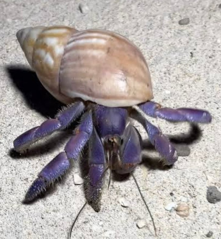 Screenshot_2025-10-20-13-04-37-947_com.google.android.googlequicksearchbox-edit