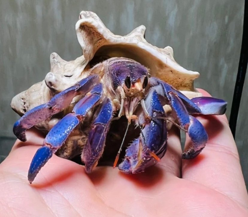 Screenshot_2025-10-20-13-04-58-543_com.google.android.googlequicksearchbox-edit