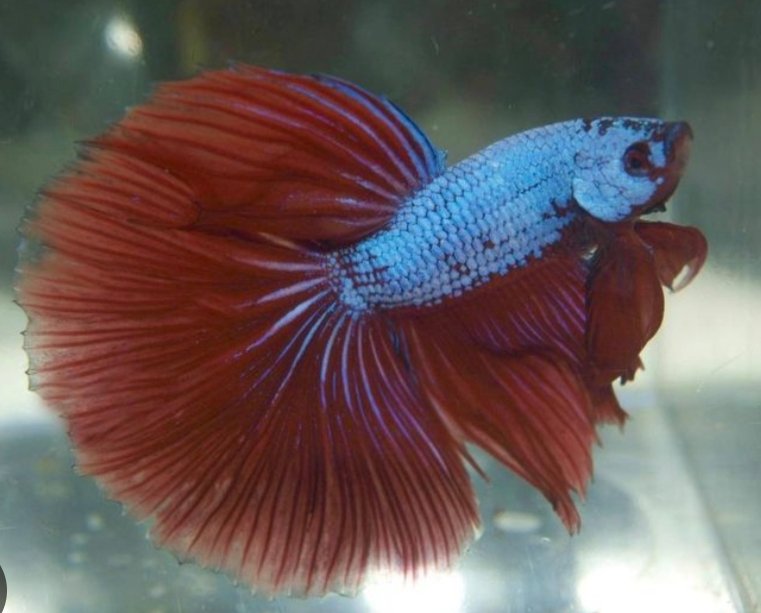 Screenshot_2025-10-20-14-53-23-611_com.android.chrome-edit