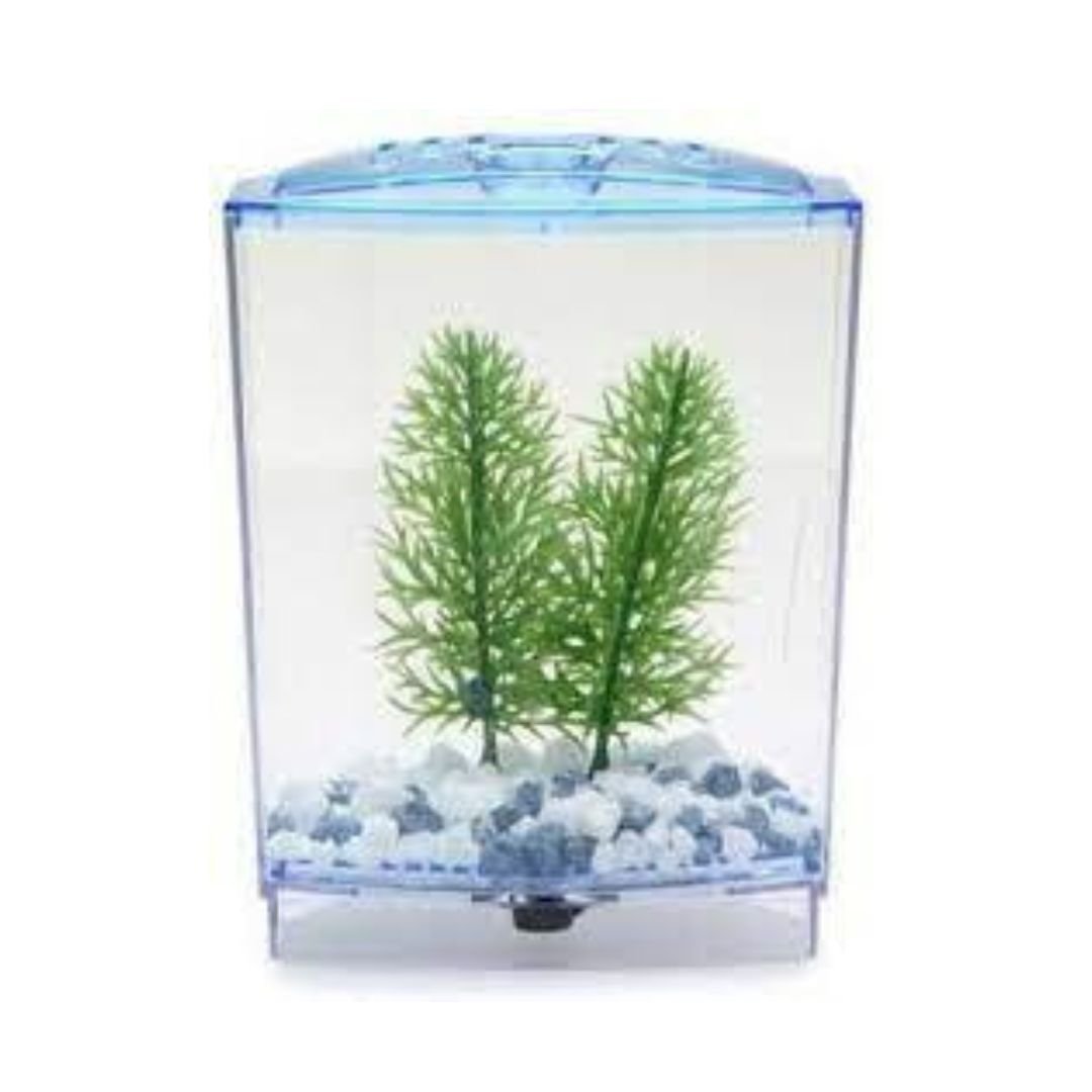 xr:d:DAFT9hqlqh8:5,j:17148915,t:22120607