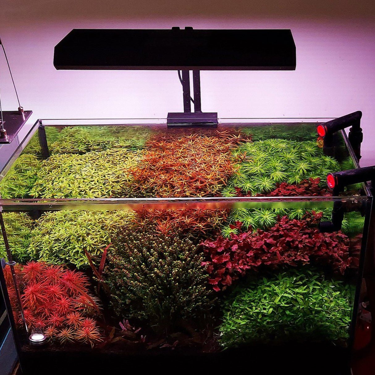 chihiros-rgb-vivid-ii-mini-led-2642396