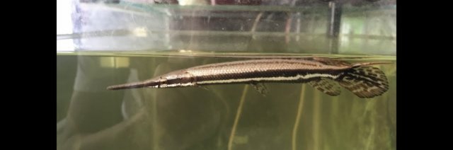 1168938-a046ca83e21a74ab6e87696d404f1e9d