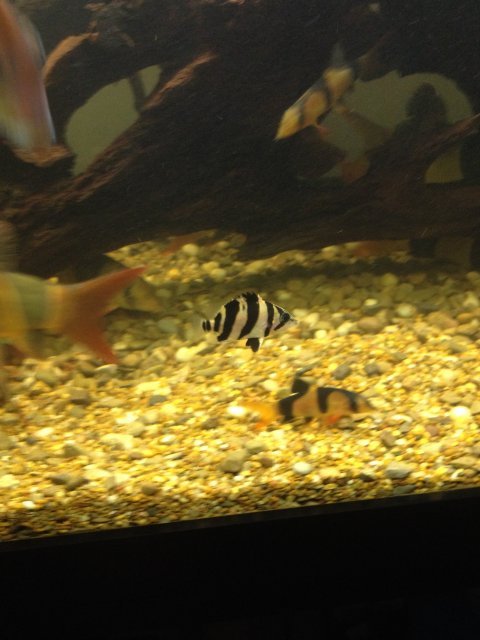 938624-4db8fec0f35954acaca2c388b97af3a4