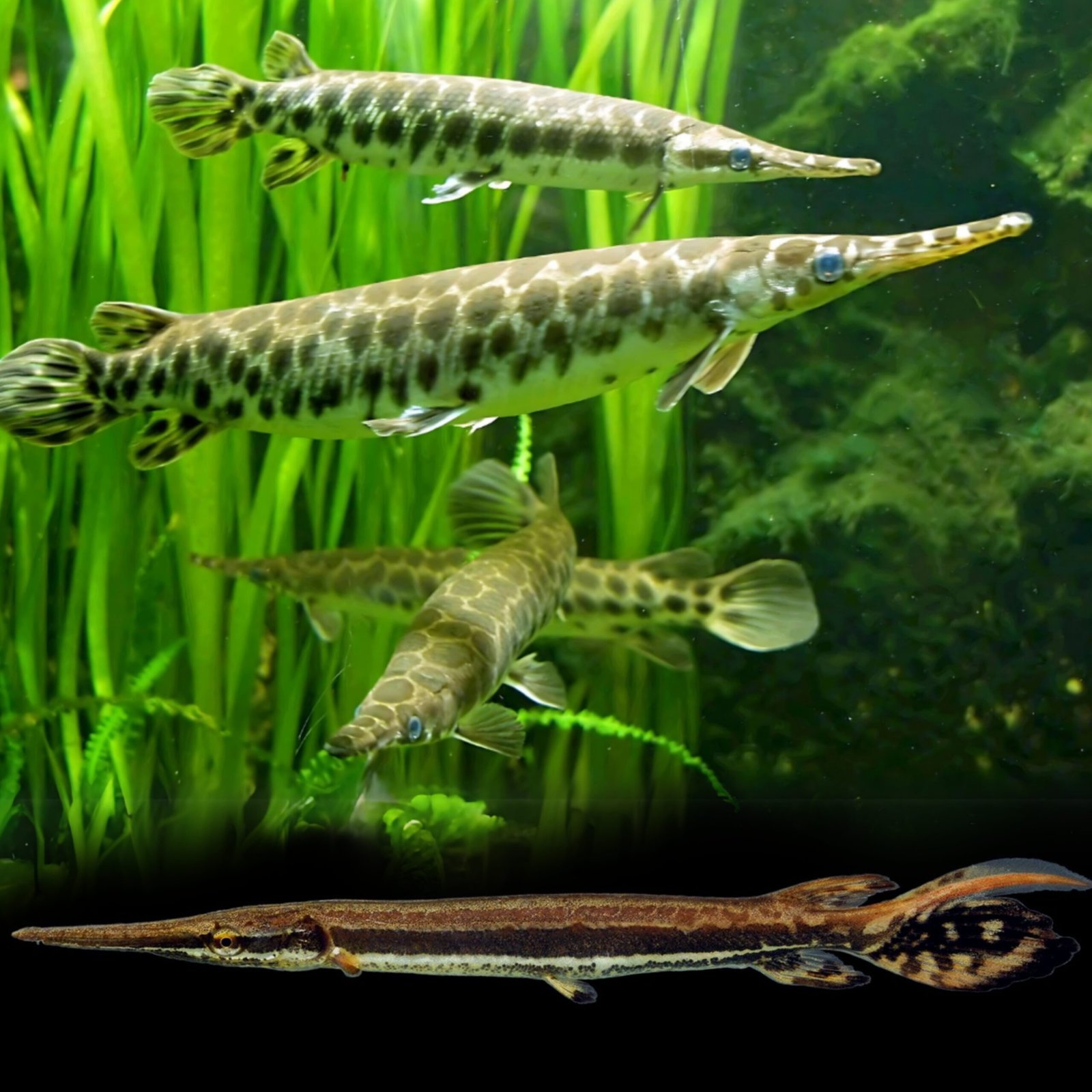 Picsart_25-10-24_10-19-04-010