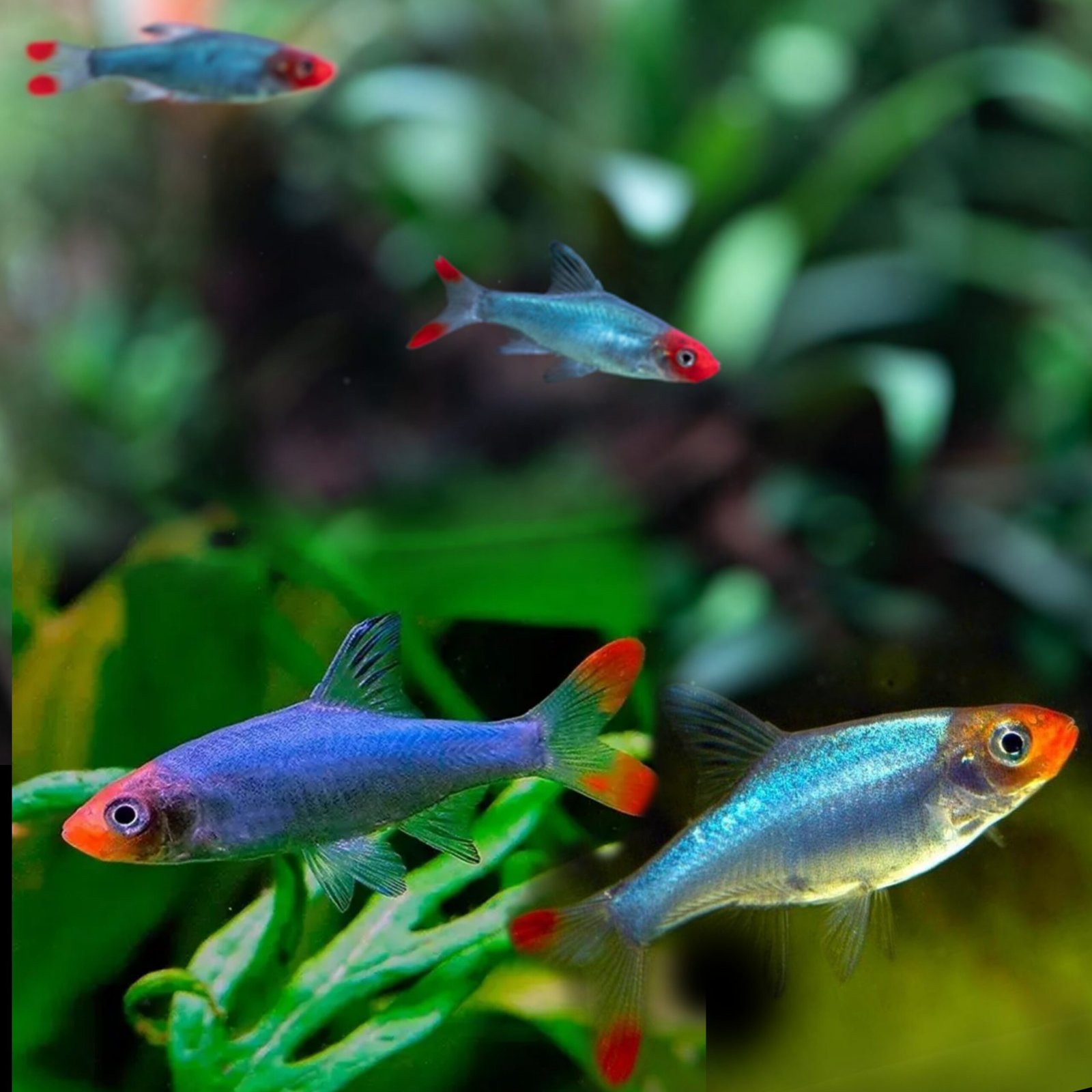 Picsart_25-10-24_15-06-21-649