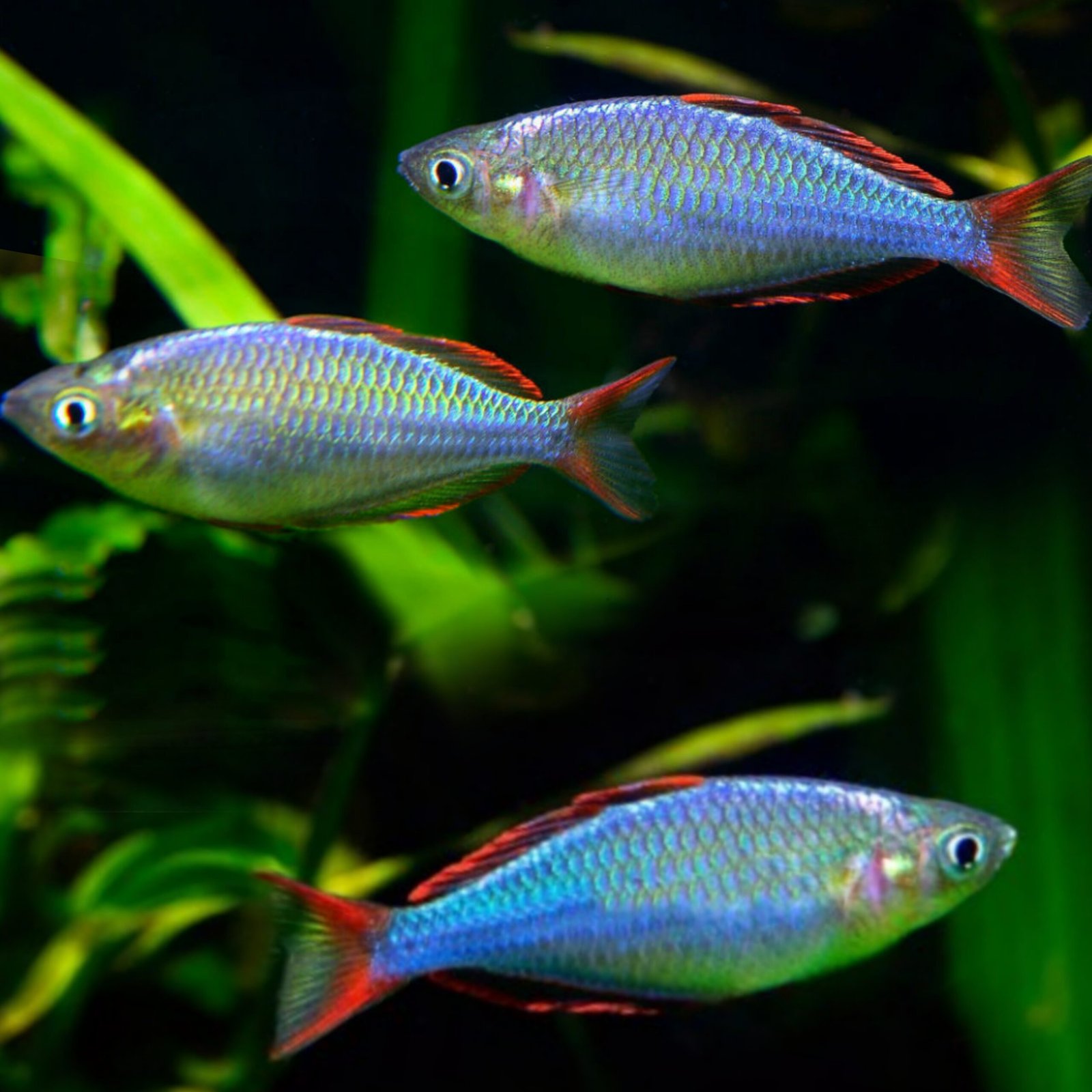 Picsart_25-10-25_16-27-21-554