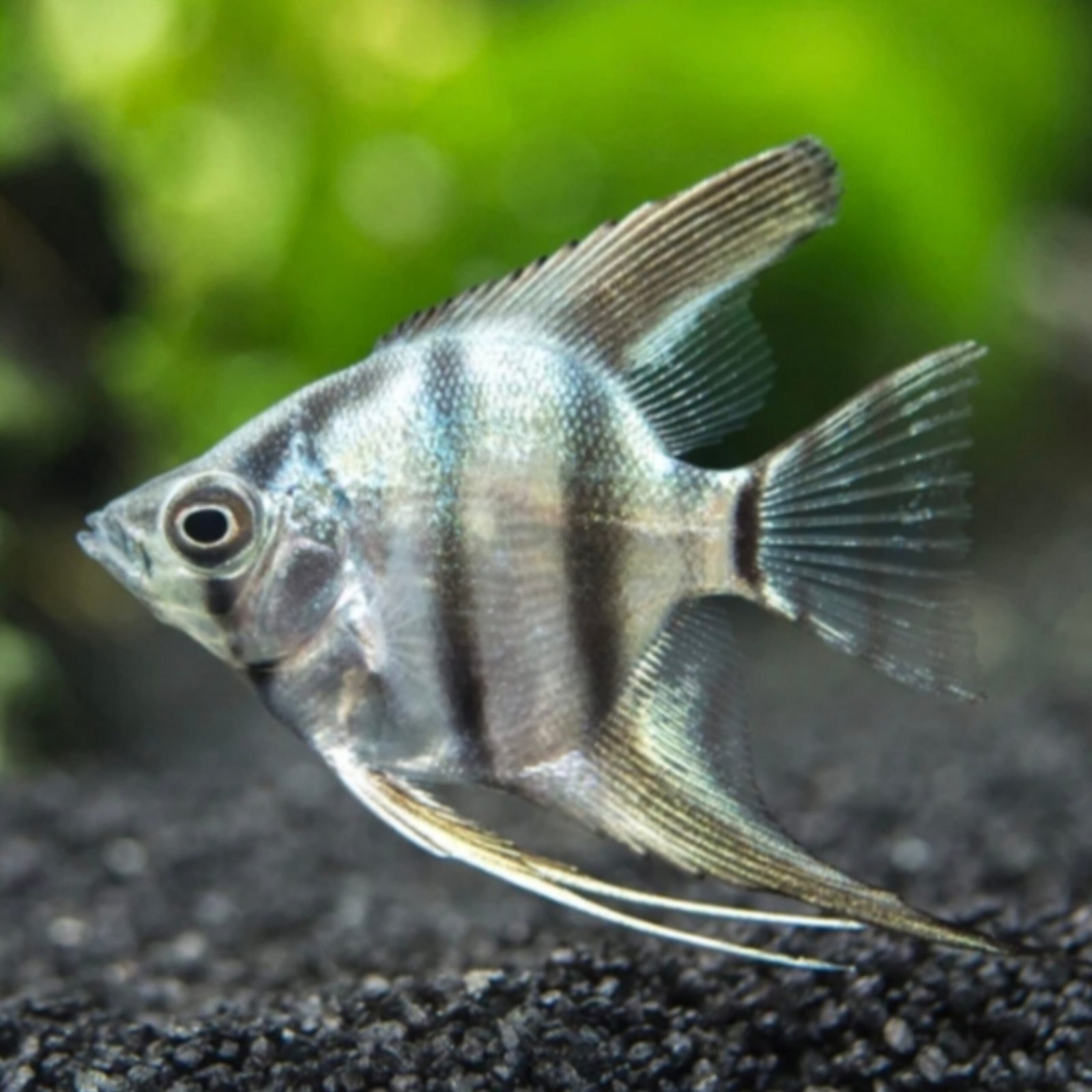 Picsart_25-10-31_22-36-45-975