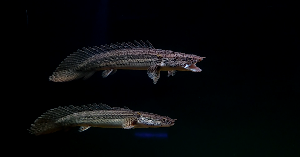 Screenshot_2018-10-21-17-52-31-91