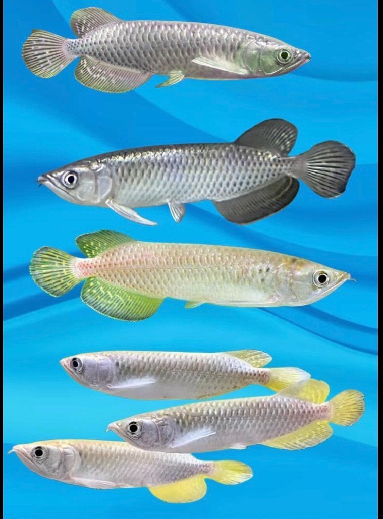 Screenshot_2025-10-23-18-21-39-913_com.android.chrome-edit