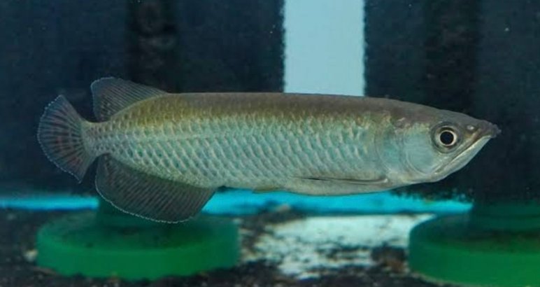 Screenshot_2025-10-23-18-23-18-908_com.google.android.googlequicksearchbox-edit