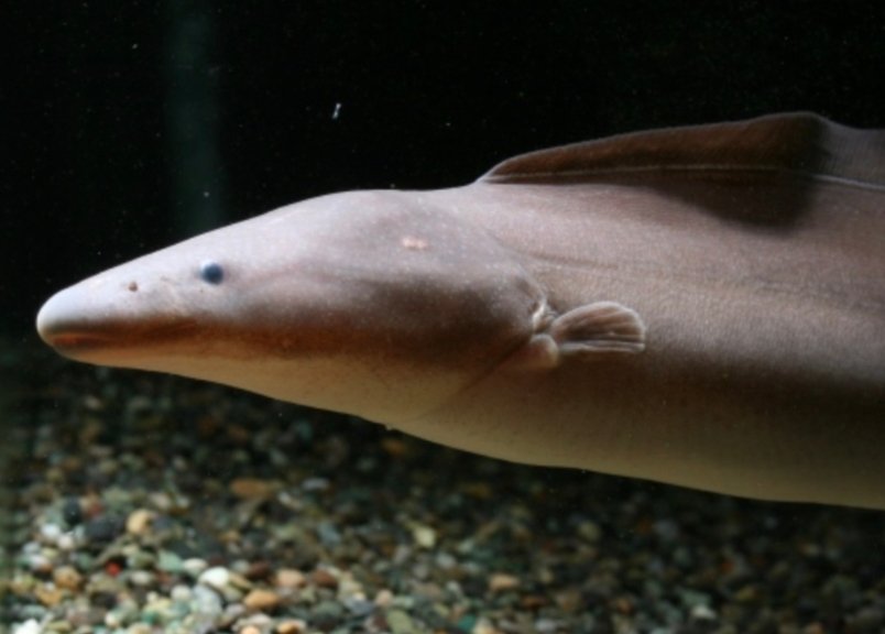 Screenshot_2025-10-24-10-45-39-250_com.google.android.googlequicksearchbox-edit