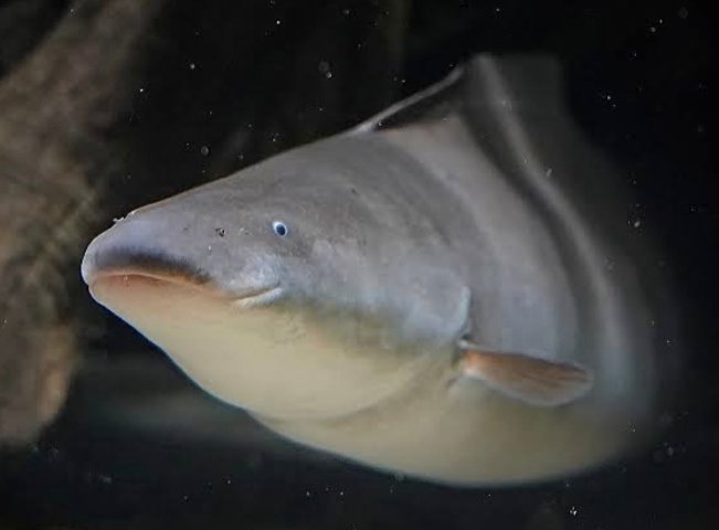 Screenshot_2025-10-24-10-46-00-986_com.google.android.googlequicksearchbox-edit