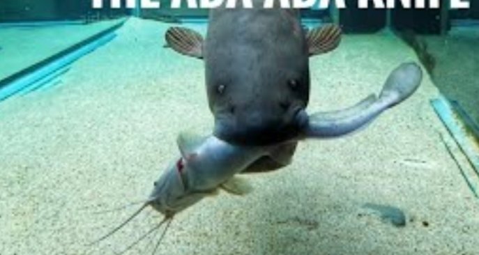 Screenshot_2025-10-24-10-53-18-326_com.google.android.googlequicksearchbox-edit