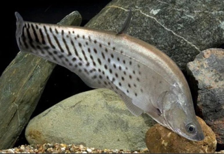 Screenshot_2025-10-24-12-29-19-348_com.google.android.googlequicksearchbox-edit