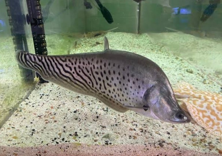 Screenshot_2025-10-24-12-30-06-142_com.google.android.googlequicksearchbox-edit