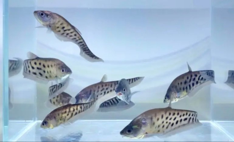 Screenshot_2025-10-24-12-30-40-042_com.google.android.googlequicksearchbox-edit