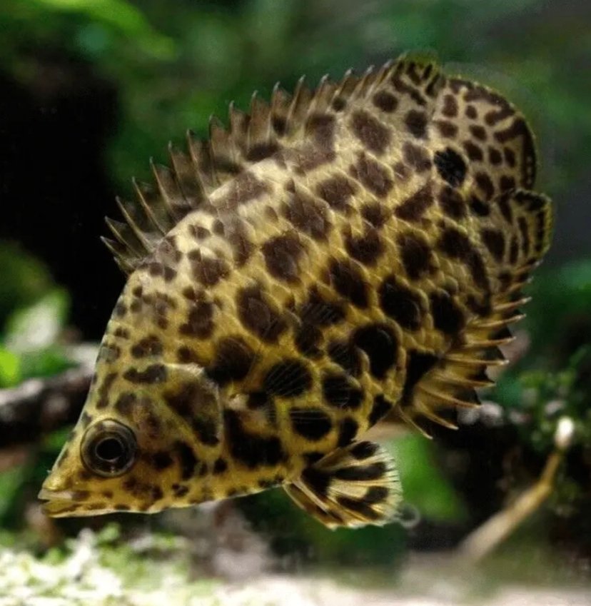 Screenshot_2025-10-24-14-20-33-952_com.google.android.googlequicksearchbox-edit