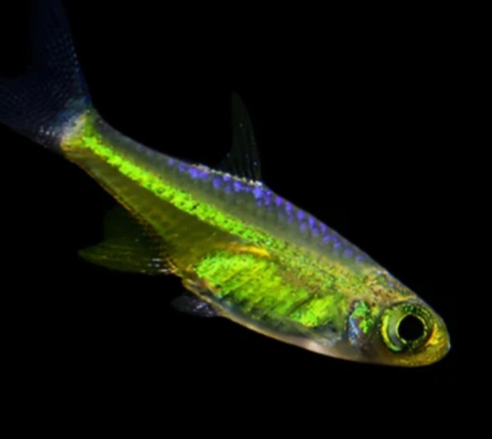 Screenshot_2025-10-24-14-59-44-371_com.google.android.googlequicksearchbox-edit