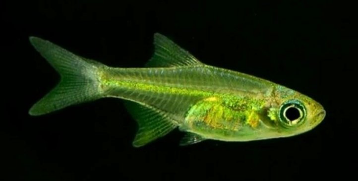 Screenshot_2025-10-24-15-00-07-076_com.google.android.googlequicksearchbox-edit