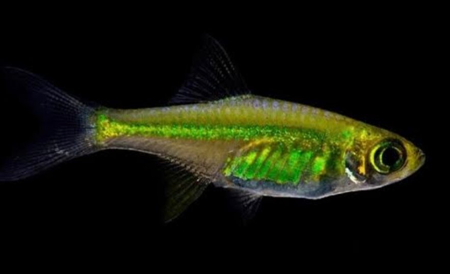 Screenshot_2025-10-24-15-00-19-781_com.google.android.googlequicksearchbox-edit