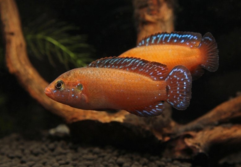 Screenshot_2025-10-24-17-28-06-362_com.google.android.googlequicksearchbox-edit