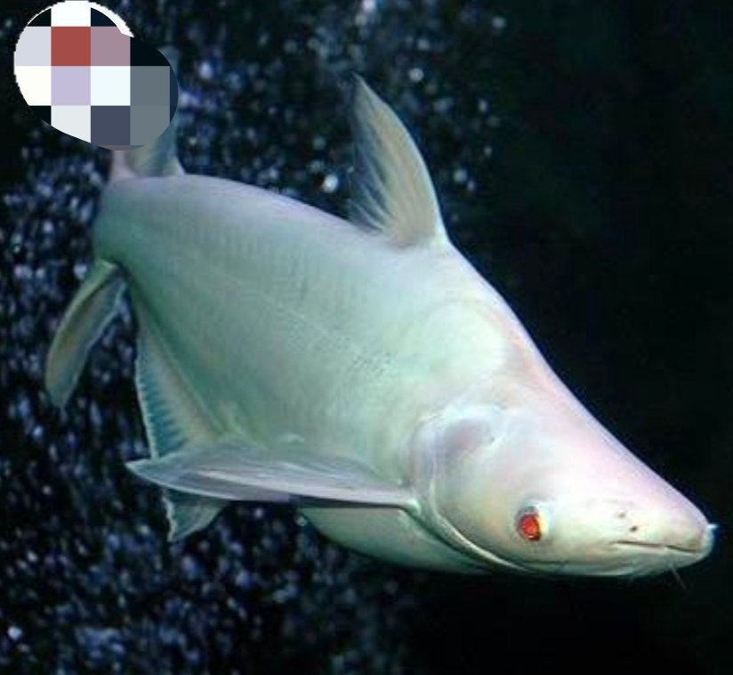 Screenshot_2025-10-25-14-28-27-810_com.android.chrome-edit