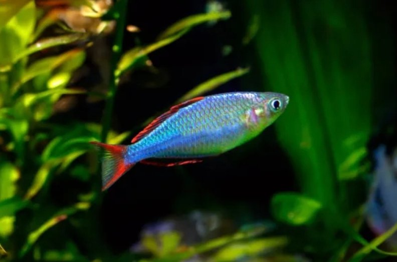 Screenshot_2025-10-25-16-25-32-347_com.google.android.googlequicksearchbox-edit