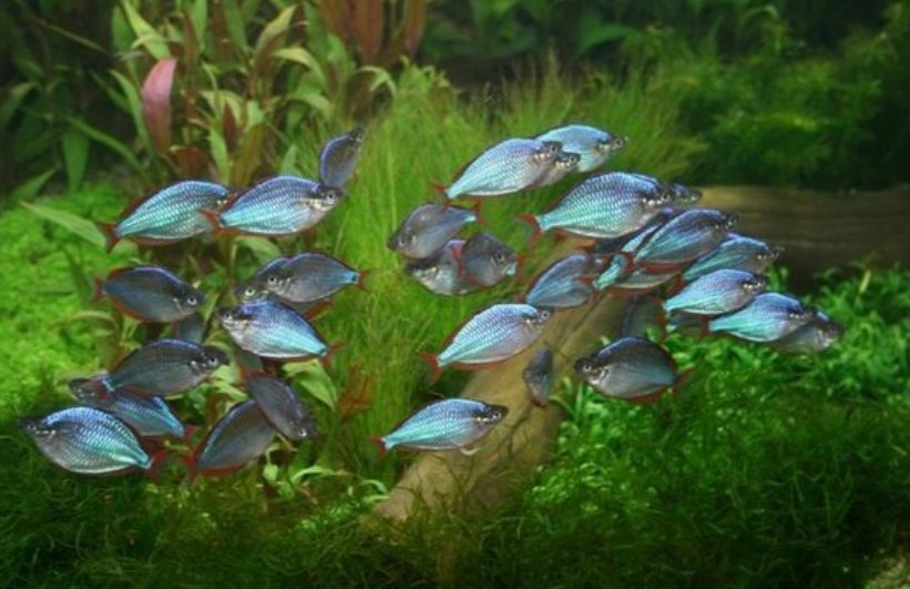 Screenshot_2025-10-25-16-26-45-969_com.google.android.googlequicksearchbox-edit