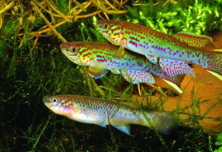 Screenshot_2025-10-25-16-53-05-019_com.google.android.googlequicksearchbox-edit