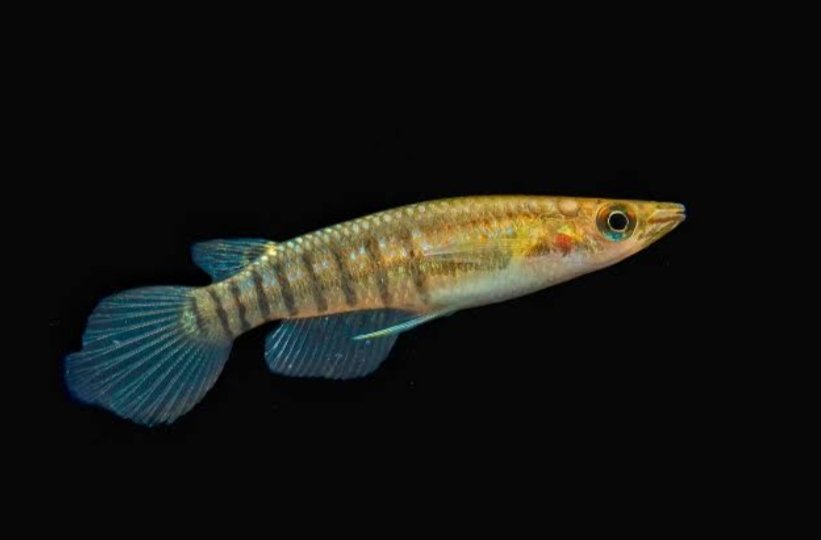 Screenshot_2025-10-25-17-10-13-200_com.google.android.googlequicksearchbox-edit