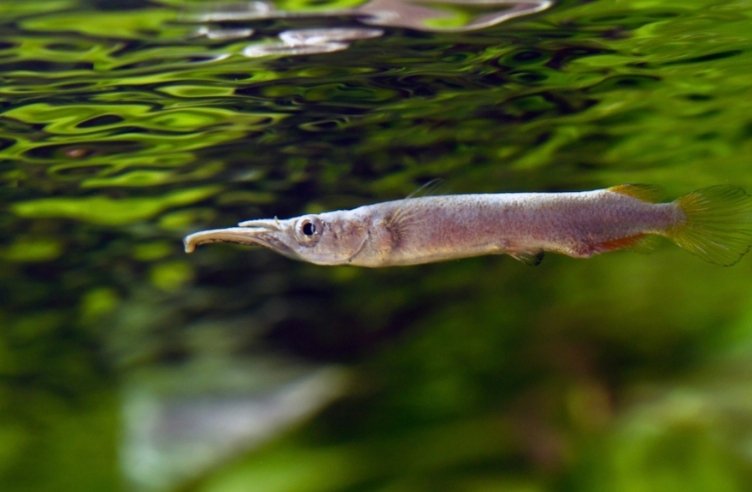 Screenshot_2025-10-25-17-17-03-546_com.google.android.googlequicksearchbox-edit