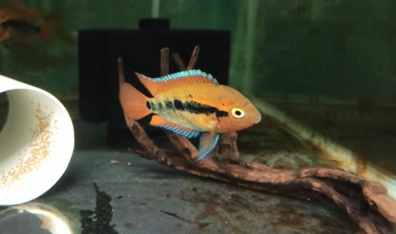 Screenshot_2025-10-25-19-10-50-190_com.google.android.googlequicksearchbox-edit