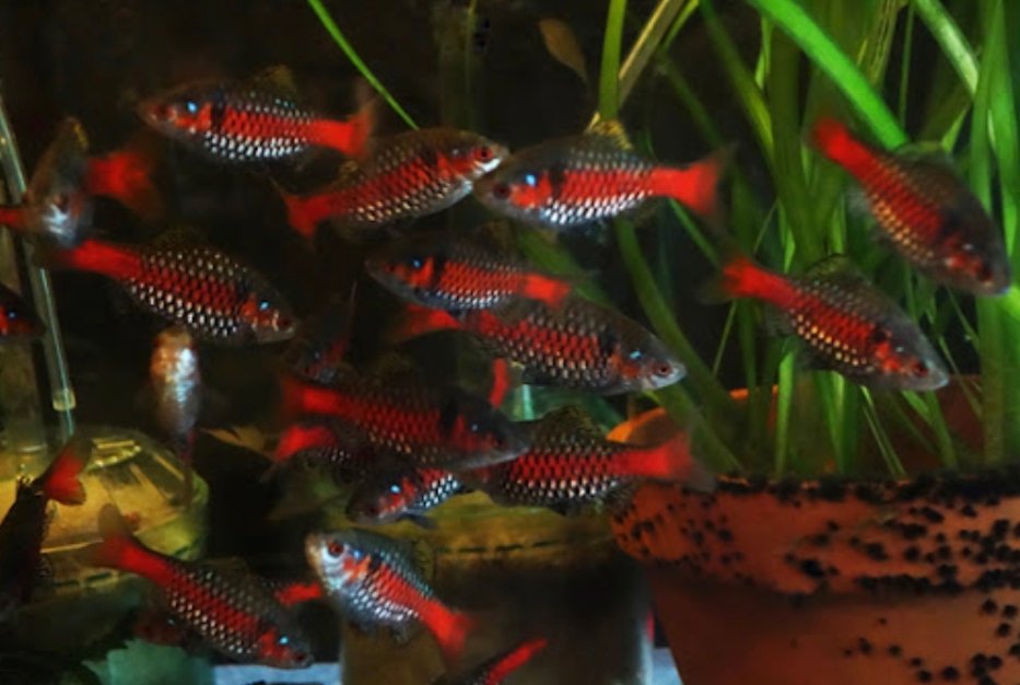 Screenshot_2025-10-25-23-15-36-592_com.google.android.googlequicksearchbox-edit