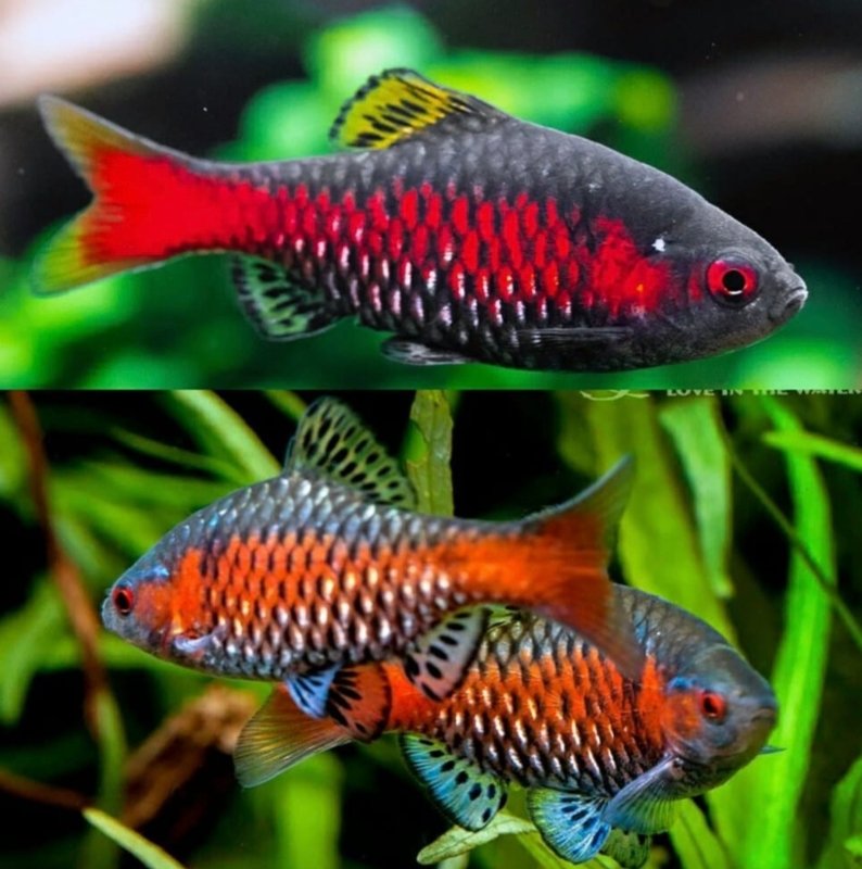 Screenshot_2025-10-25-23-16-14-987_com.google.android.googlequicksearchbox-edit