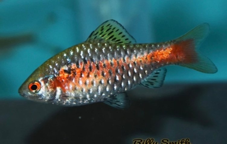 Screenshot_2025-10-25-23-16-44-890_com.google.android.googlequicksearchbox-edit