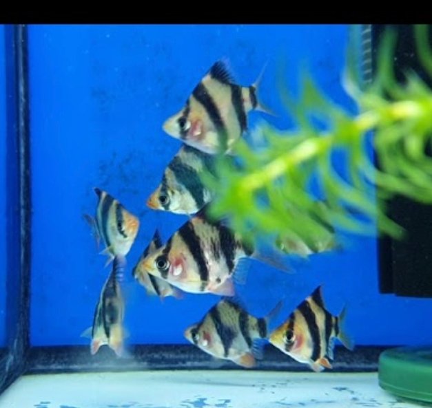 Screenshot_2025-10-30-22-00-37-639_com.google.android.googlequicksearchbox-edit