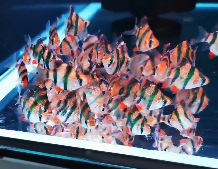 Screenshot_2025-10-30-22-01-16-836_com.google.android.googlequicksearchbox-edit