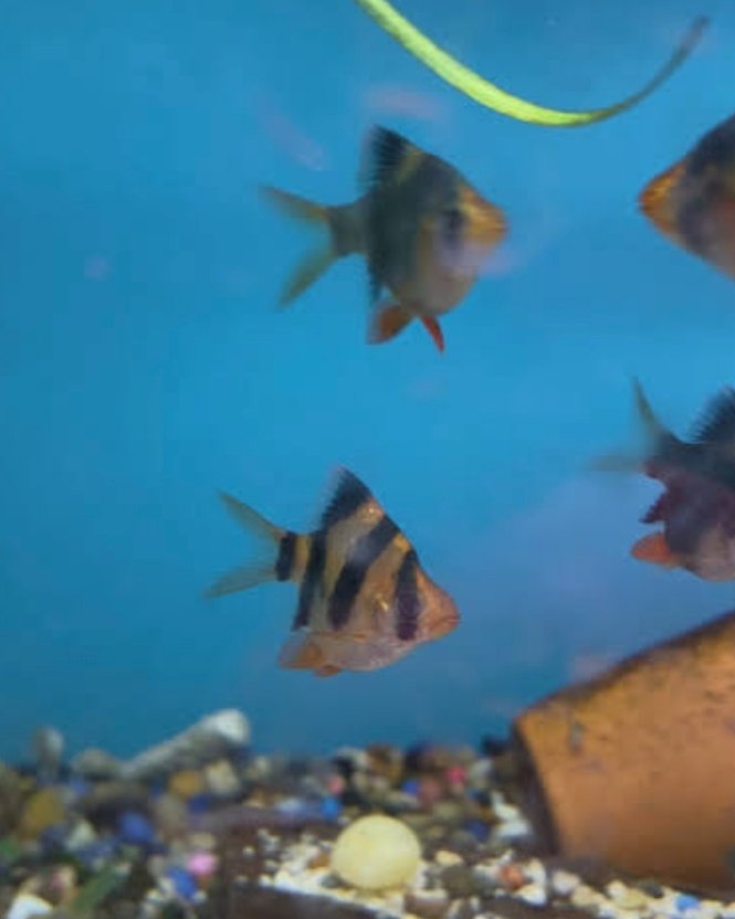 Screenshot_2025-10-30-22-01-54-776_com.google.android.googlequicksearchbox-edit