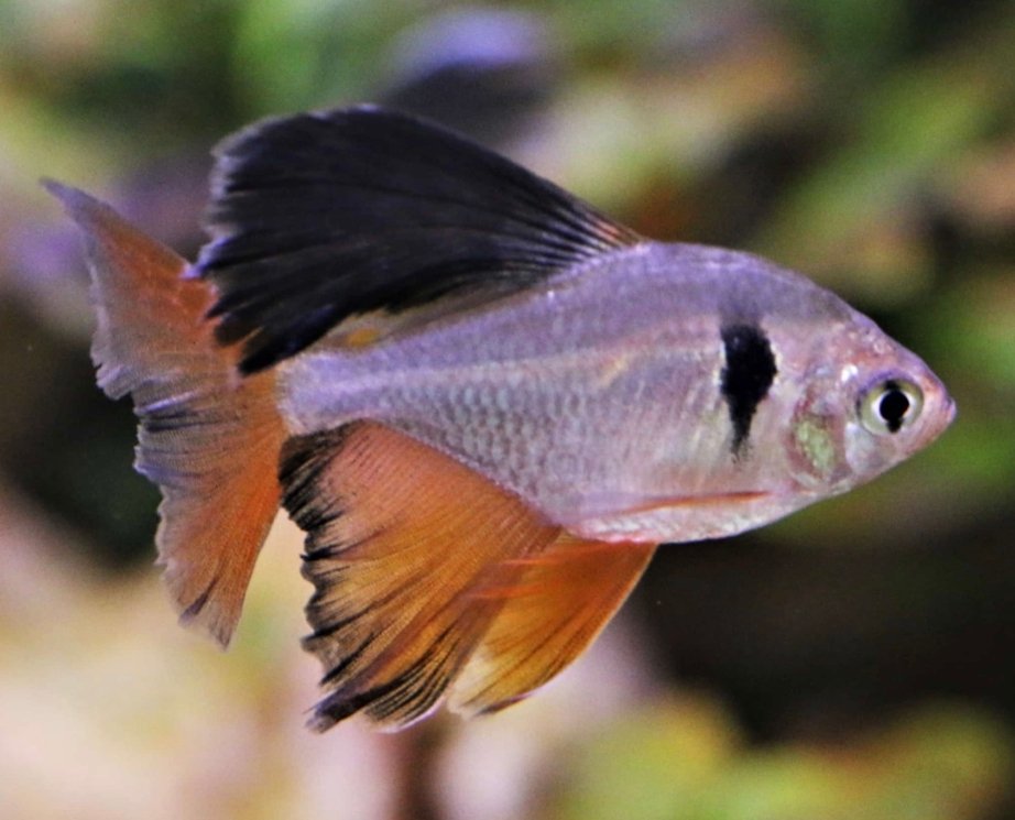 Screenshot_2025-10-30-22-32-42-220_com.google.android.googlequicksearchbox-edit